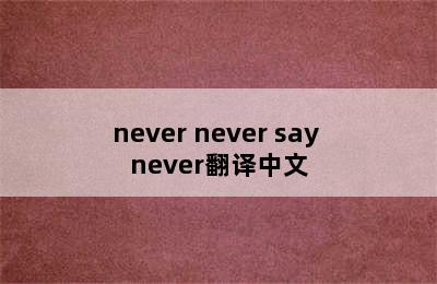 never never say never翻译中文